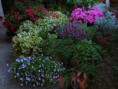 /album/fiori/panoramica-maggio-c-r-mm-jpg/